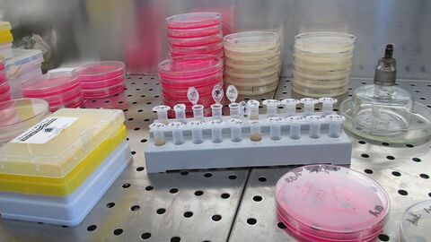 Verschiedene Laborbehältnisse