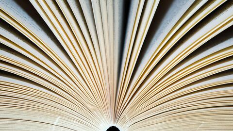 Symbolbild Aufgeschlagenes Buch von unten betrachtet - die Seiten sind fächerförmig angeordnet.
